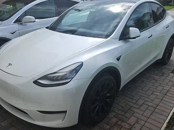 TESLA MODEL Y 2020 5YJYGDEE1LF011265 image TESLA MODEL Y 2020 5YJYGDEE1LF011265 image